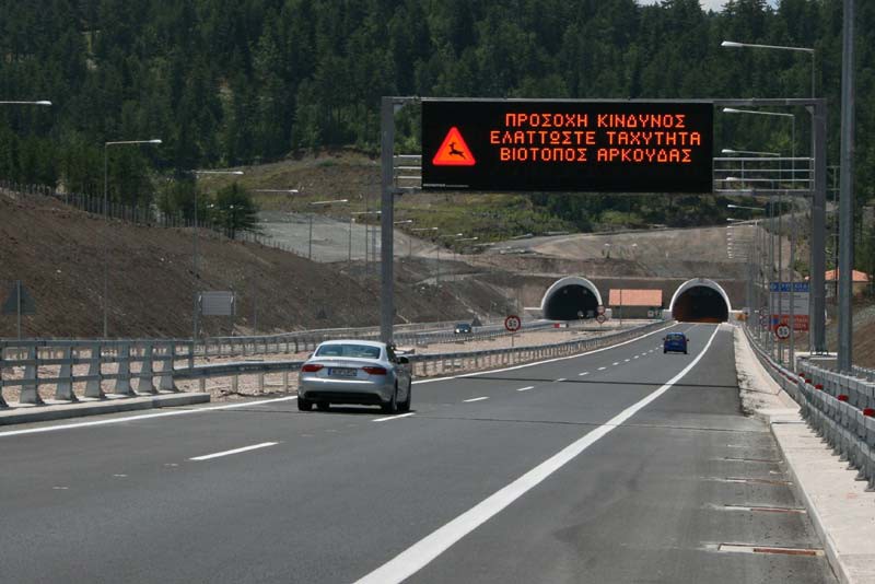 Ένα ακόμα τροχαίο με θύμα αρκούδα στην Εγνατία Οδό