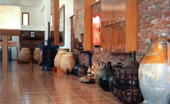 Το Μουσείο του Ούζου στο Πλωμάρι