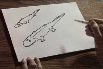 Απολιθωμένες πατημασιές ανατρέπουν τις θεωρίες για τον αποικισμό της ξηράς