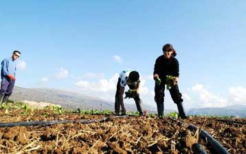 Μισθοί με κουπόνια για οικιακές βοηθούς και εργάτες γης