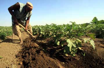 Απόγονοι γεωργών από τη Μέση Ανατολή οι περισσότεροι Ευρωπαίοι άνδρες