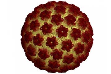 Γενετικό τεστ για τον ιό HPV αναμένεται να αντικαταστήσει το τεστ Παπ