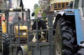 Στο χορό των κινητοποιήσεων μπαίνουν και οι κτηνοτρόφοι
