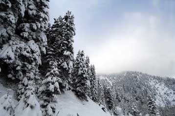 Λευκό τοπίο σε Πάρνηθα και Πεντέλη