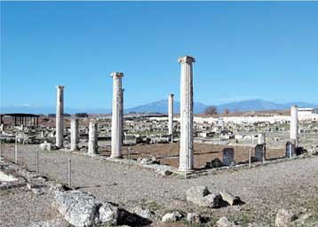 «Μετακομίζουν» για να σωθούν οι κίονες του αρχαιολογικού χώρου της Πέλλας