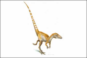 Είναι πλέον βέβαιο, οι δεινόσαυροι είχαν χρωματιστά πούπουλα