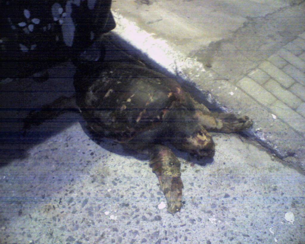 Πεταμένη καρέτα-καρέτα στην Καλαμάτα