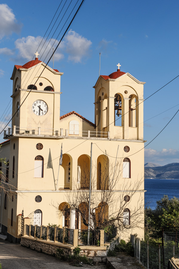 Κάλαμος, το βασιλικό πεύκο!