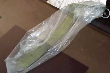 Ξεκίνησε η δίκη για την συντριβή του Concorde το 2000