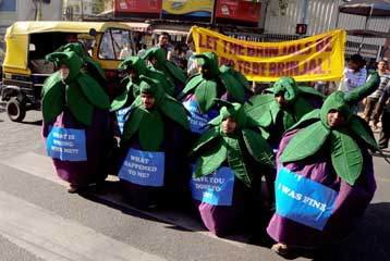 Η Ινδία επιβάλλει μορατόριουμ στις «μεταλλαγμένες» καλλιέργειες