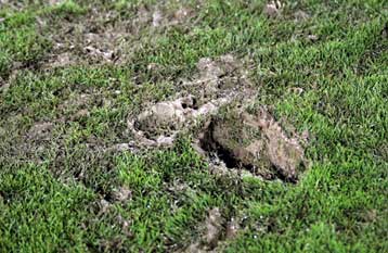 Συνεχίζονται τα προβλήματα στην ΑΕΚ με το προπονητικό στους Θρακομακεδόνες