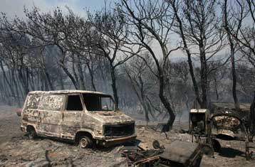 Αναδάσωση στην Αττική και «Πράσινο Ταμείο» από το υπουργείο Περιβάλλοντος