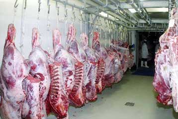 Έκθεση-βόμβα της Κομισιόν για τη χαώδη κατάσταση στα σφαγεία