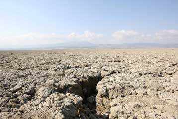 «Πυρά» Τσίπρα προς κυβέρνηση και αυτοδιοίκηση για την κατάσταση στην Κορώνεια