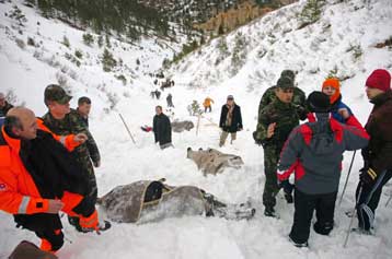 Νεκροί δύο γερμανοί σκιέρ από χιονοστιβάδα στην Ελβετία