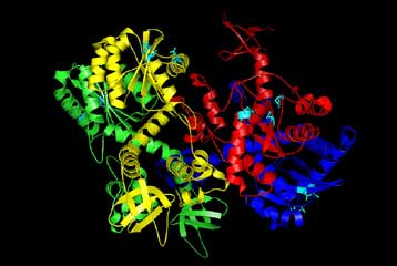 Ακόμα ένα σημαντικό κομμάτι στο μοριακό παζλ του HIV