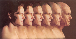 Γονιδιακές ποικιλομορφίες επιταχύνουν τη βιολογική γήρανση