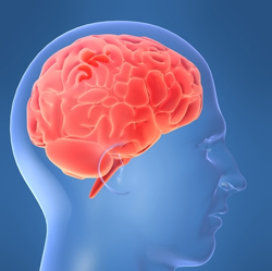 Βρέθηκε το «σημείο της δικαιοσύνης» στον ανθρώπινο εγκέφαλο