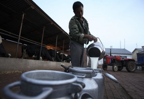 Ανακαλεί τις άδειες των μισών της εταιρειών παραγωγής γάλακτος η Κίνα