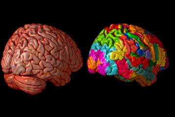 Τεχνική τομογραφίας διαβάζει αναμνήσεις στον εγκέφαλο