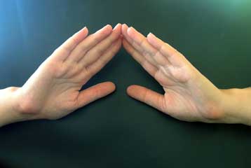 Τα «μικροβιακά αποτυπώματα» στο μικροσκόπιο της εγκληματολογικής έρευνας