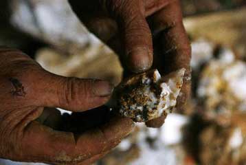 Τουλάχιστον 200 άνθρωποι νεκροί από κατάρρευση χρυσωρυχείου στη Σιέρα Λεόνε