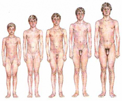 Το σωματικό βάρος επηρεάζει την έναρξη της εφηβείας