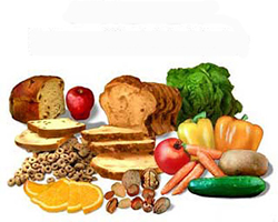 Φυτικές ίνες και υγεία