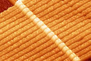 Το όραμα της HP για τα τσιπ του μέλλοντος