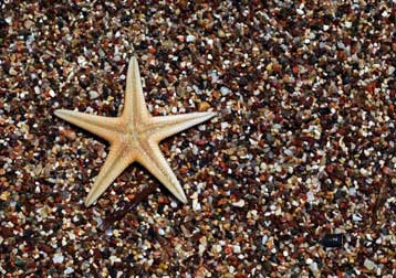 Μεγάλο ερευνητικό πρόγραμμα της ΕΕ για την προστασία των ακτών της Μεσογείου