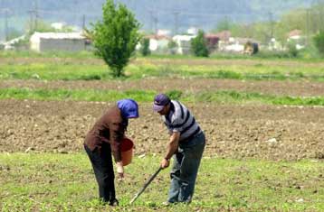 Μέχρι 15 Μαΐου οι αιτήσεις των αγροτών για τις κοινοτικές επιδοτήσεις του 2010
