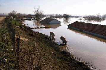 Χάνεται ο πόλεμος εναντίον των κουνουπιών στον Έβρο