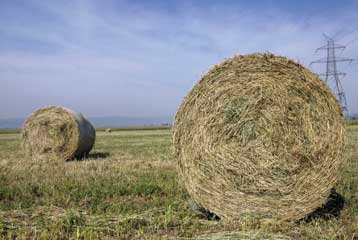 Επαγγελματική ταυτότητα θα αποκτήσουν οι Έλληνες αγρότες