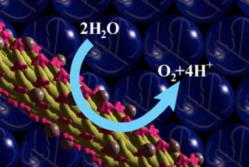 Το MIT προσλαμβάνει ιούς να παράγουν υδρογόνο