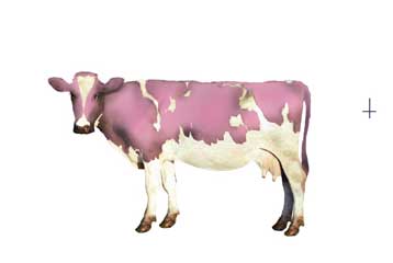 Στην Ταινιοθήκη της Ελλάδας το Φεστιβάλ Κινηματογράφου Outview