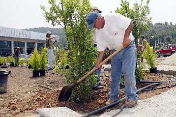 Με επιταγή η πληρωμή για τις υπηρεσίες που προσφέρονται κατ οίκον