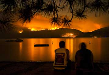 Ένα εκατομμύριο τετραγωνικά χλμ δάσους έχασε ο πλανήτης σε μια πενταετία