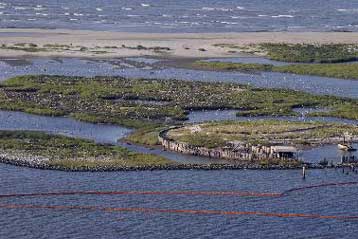 Στο δέλτα του ποταμού Μισισιπή πλησιάζει η πετρελαιοκηλίδα από τον Κόλπο του Μεξικού