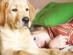 Κίνδυνος άσθματος για τα παιδιά που μεγαλώνουν παρέα με σκύλο