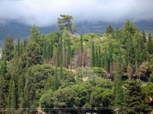 Ο Εθνικός Δρυμός του Αίνου