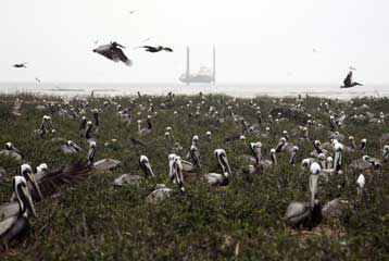 H BP στο στόχαστρο για τη διαρροή από την εξέδρα πετρελαίου στη Λουιζιάνα