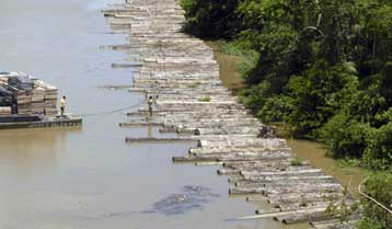 Πλήγμα για τις οικονομίες η συνεχιζόμενη απώλεια βιοποικιλότητας