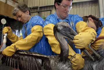 Αγωγό απορρόφησης του πετρελαίου που διαρρέει τοποθέτησε η BP, αισιοδοξεί η εταιρεία