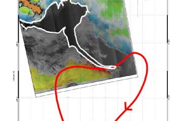 Τα κοράλλια της Φλόριντα απειλεί τώρα η γιγάντια πετρελαιοκηλίδα στις ΗΠΑ