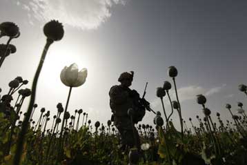 Έρευνα για δολοφονίες Αφγανών αμάχων από Αμερικανούς στρατιώτες ξεκινά ο στρατός των ΗΠΑ