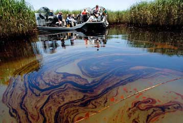 Καταστροφή στους υδροβιότοπους της Λουιζιάνα καθώς το πετρέλαιο εισρέει