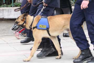 Σε εγκληματική ενέργεια αποδίδεται ο θάνατος 47χρονης στα Χανιά