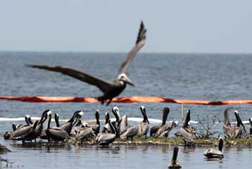 Την τελευταία (;) προσπάθεια σφραγίσματος της διαρροής αρχίζει η BP