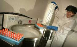 Τα αρτηριακά υπολείμματα ίσως αποτελούν πηγή βλαστοκυττάρων