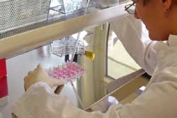 Νέες γονιδιακές μεταλλάξεις σχετίζονται με τον καρκίνο του μαστού και τη ρευματοειδή αρθρίτιδα